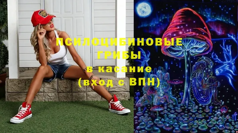 Галлюциногенные грибы MAGIC MUSHROOMS  Сегежа 